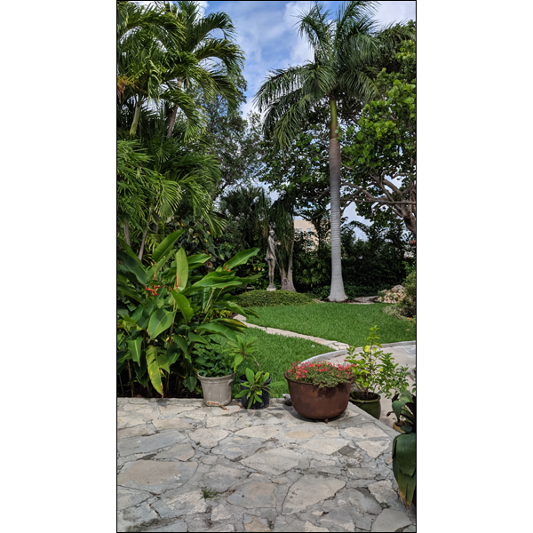 Back yard